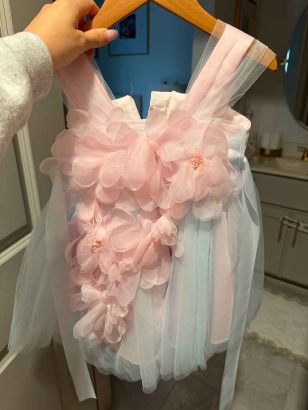 Tulle Girls' Pink and Light Blue Floral Tulle Dress